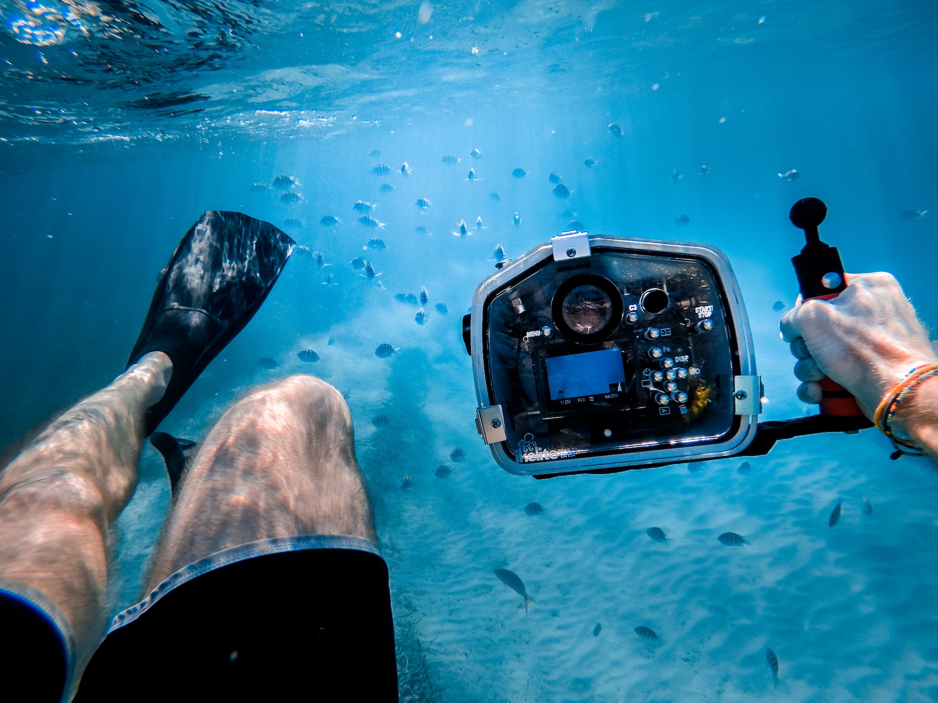 Unterwasserfotografie erkunden
