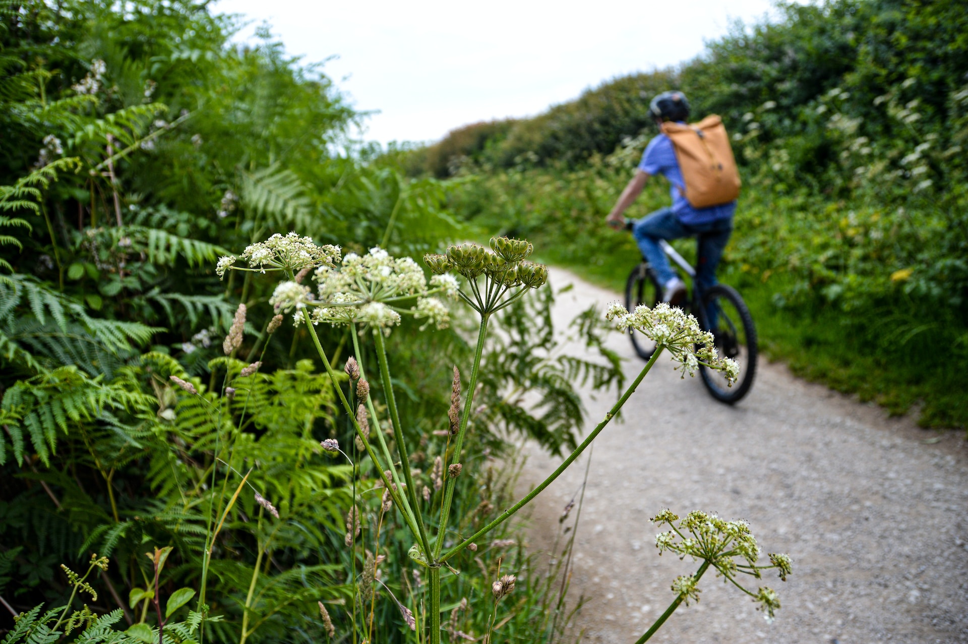 Die besten Radwege in Österreich